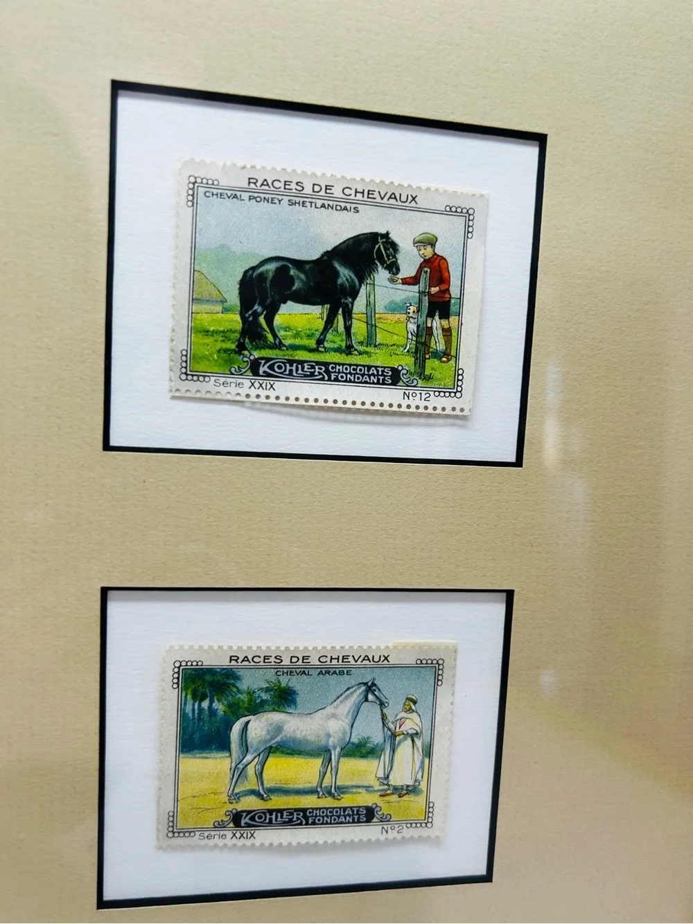 N/A framed horse